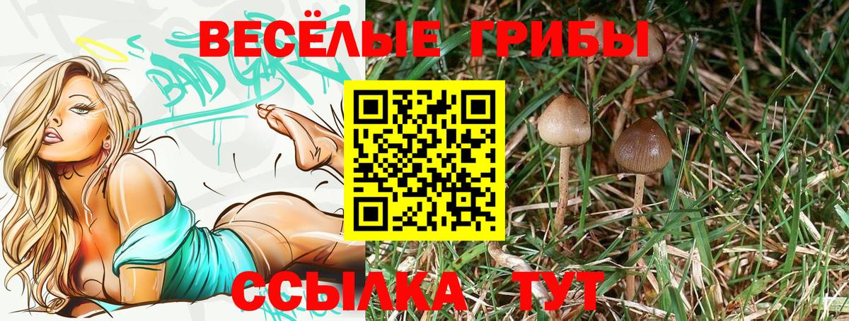Галлюциногенные грибы мухоморы  Вход с VPN  Бутурлиновка  Галлюциногенные грибы MAGIC MUSHROOMS 