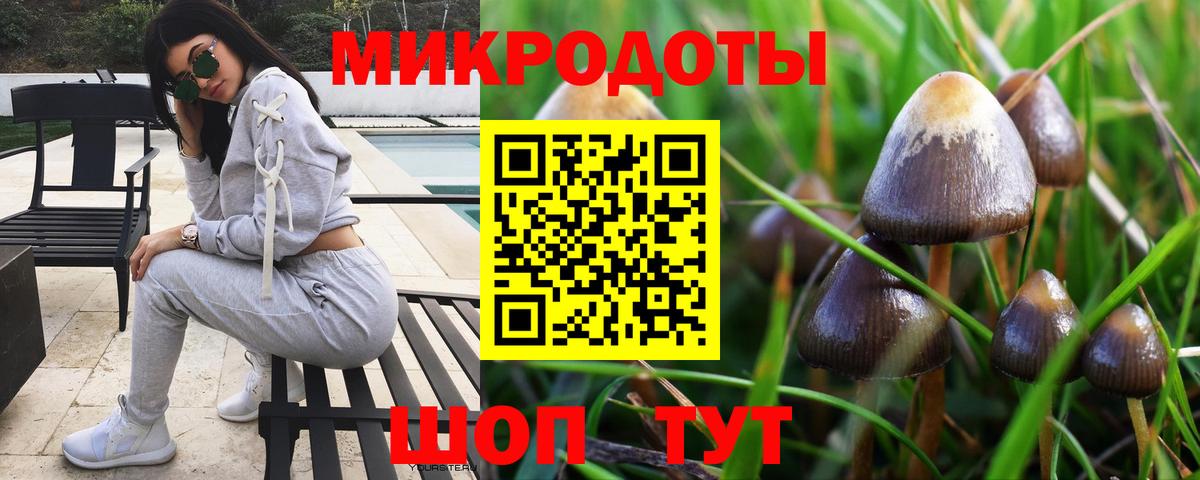 Псилоцибиновые грибы GOLDEN TEACHER Бутурлиновка